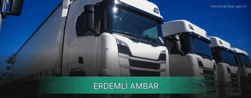 Erdemli Ambar