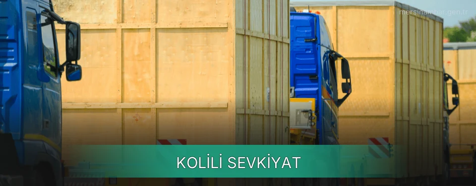 Mersin Kolili Sevkiyat Ambar Firmaları Mersin Kolili Sevkiyat Ambar Firmaları