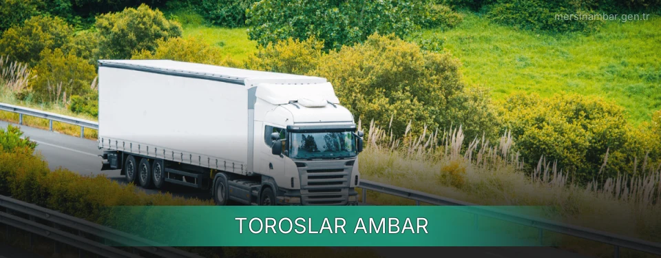 Toroslar Ambar